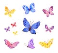 ÃÂ¡ute butterflies set. Hand painted watercolor illustrations